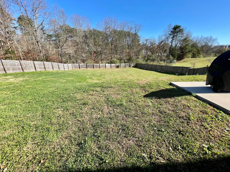 8534 Bowsong Ln, Powell, TN 37849