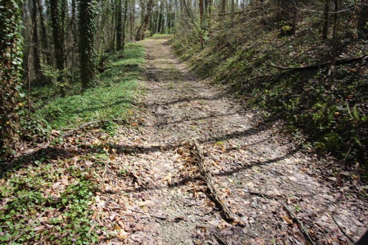 8538 Towns End Dr, Townsend, TN 37882