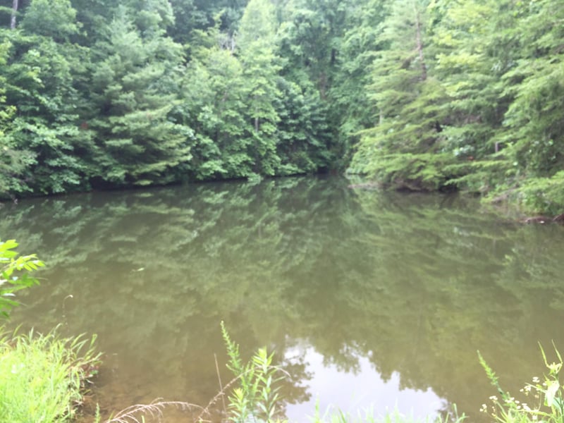 855 Snow Hill Rd, Oakdale, TN 37829