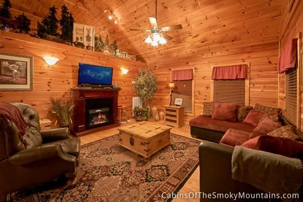 856 Black Bear Cub Way, Sevierville, TN 37862