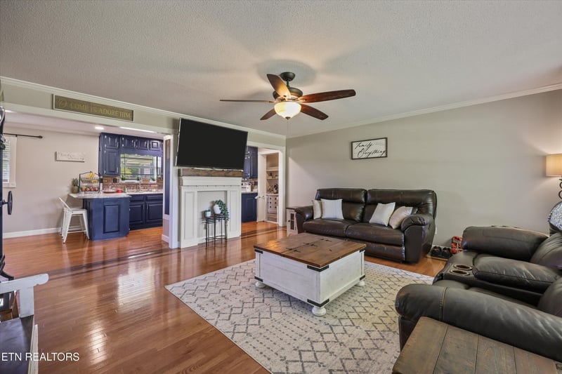 858 Seed Tick Rd, Philadelphia, TN 37846
