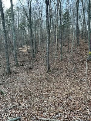 8588 Calloway Rd, Loudon, TN 37774