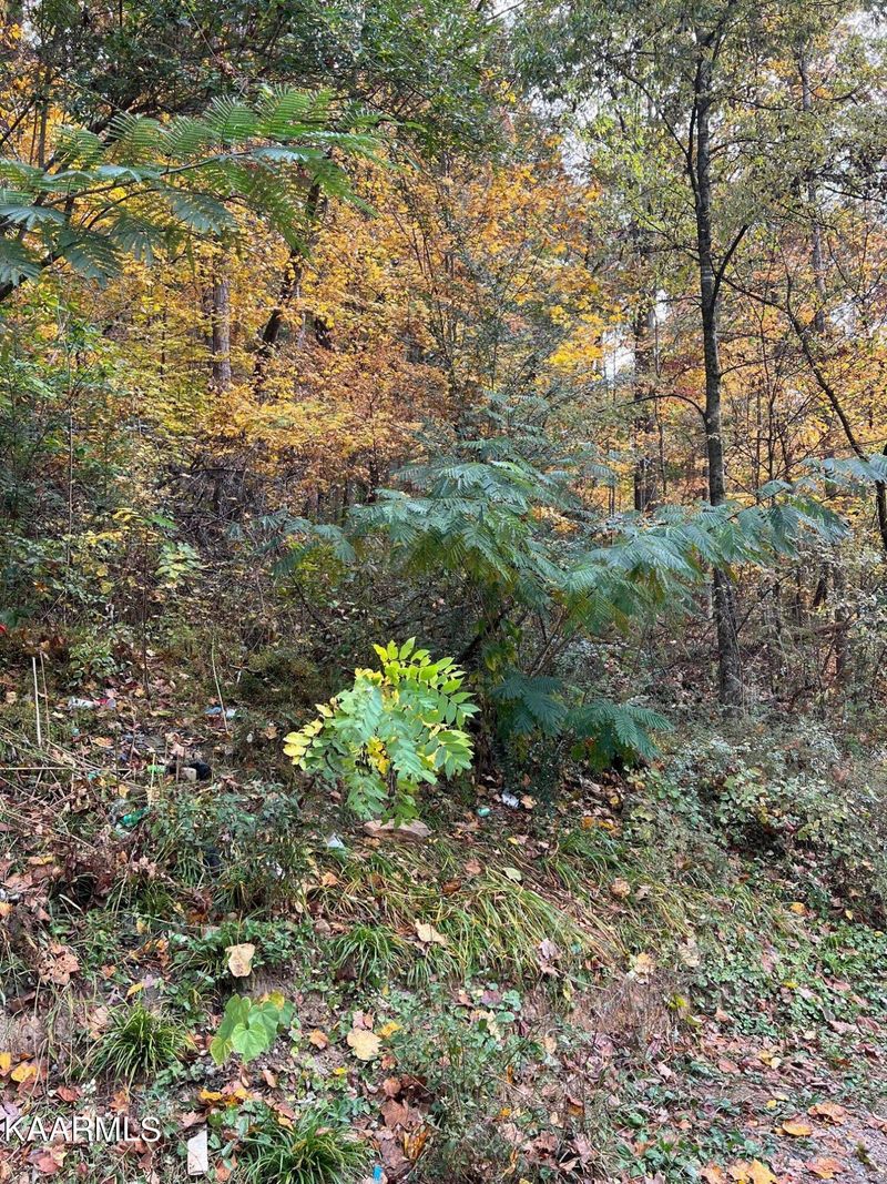 8614 8620 Old Tazewell Pike, Corryton, TN 37721