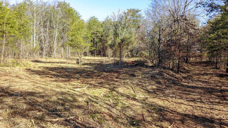 8634 Widener Rd, Knoxville, TN 37920