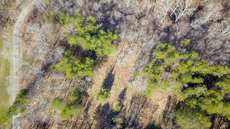 8634 Widener Rd, Knoxville, TN 37920