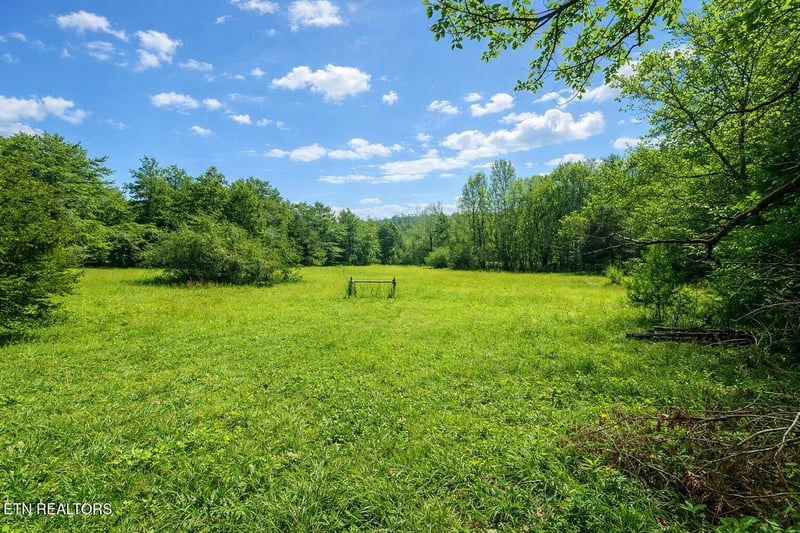 864 E Bullrun Valley Dr, Heiskell, TN 37754