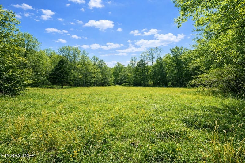 864 E Bullrun Valley Dr, Heiskell, TN 37754