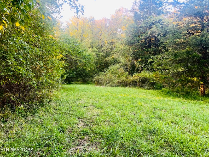 864 E Bullrun Valley Dr, Heiskell, TN 37754