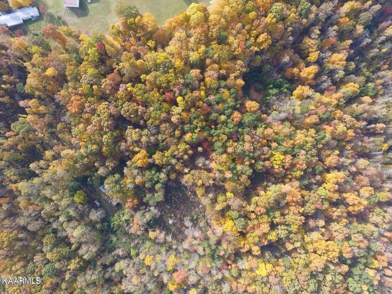 8735 Conner Rd, Powell, TN 37849