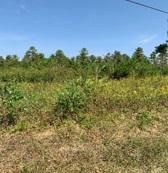 875 County Rd, Etowah, TN 37331