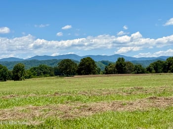 880 - 890 Fairview Rd, Tellico Plains, TN 37385