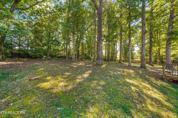 8804 Mallow Dr, Knoxville, TN 37922