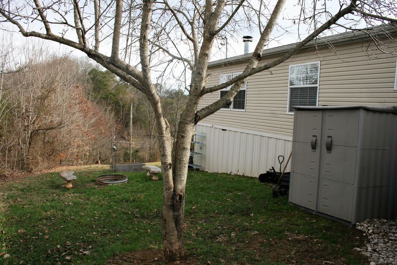 8831 Trout Dr, Mascot, TN 37806