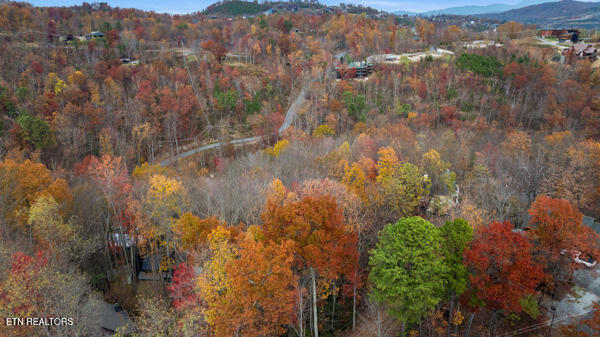 887 Holly Branch Rd, Gatlinburg, TN 37738