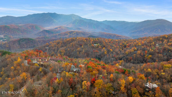 887 Holly Branch Rd, Gatlinburg, TN 37738