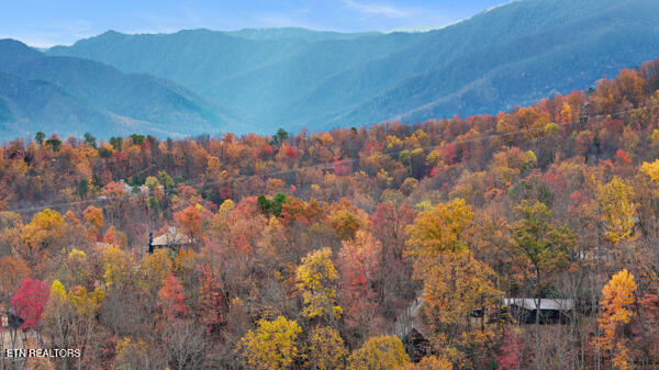 887 Holly Branch Rd, Gatlinburg, TN 37738