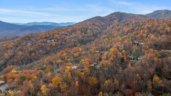887 Holly Branch Rd, Gatlinburg, TN 37738