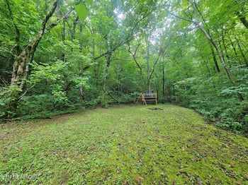 890 Indian Gap Rd, Sevierville, TN 37876