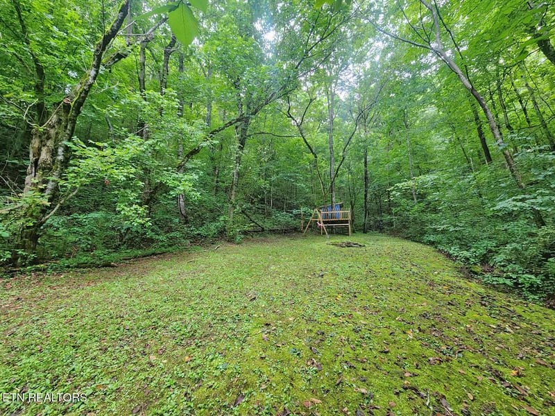 890 Indian Gap Rd, Sevierville, TN 37876