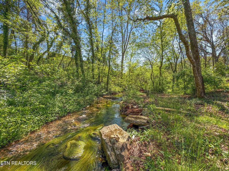 8904 Ormand Ln, Knoxville, TN 37923