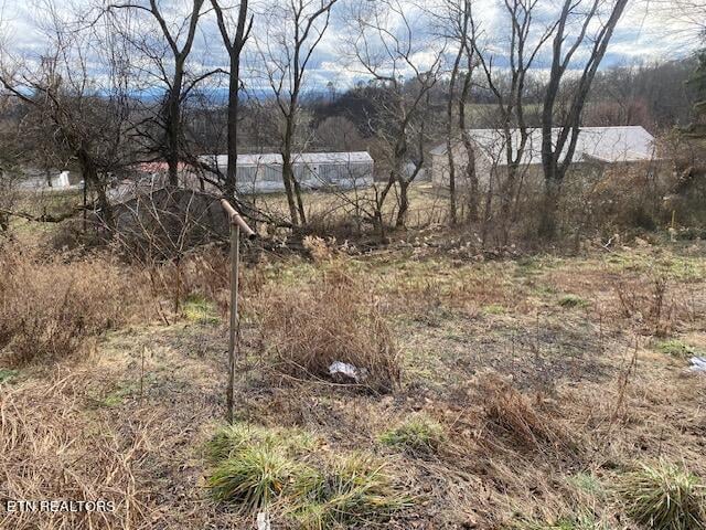8914 A Dr, Mascot, TN 37806