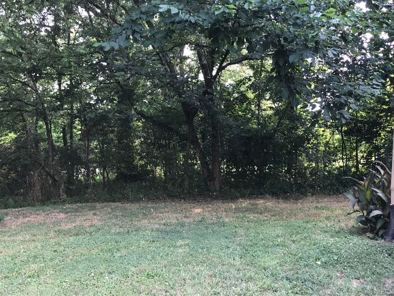 8916 Curtis Rd, Strawberry Plains, TN 37871