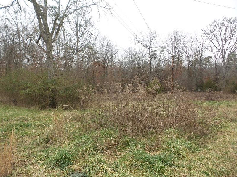 8917 Curtis Rd, Strawberry Plains, TN 37871