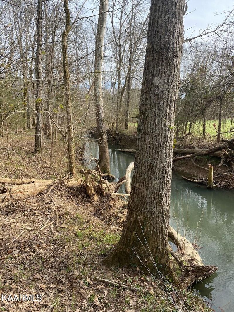 8921 Bud Hawkins Rd, Corryton, TN 37721