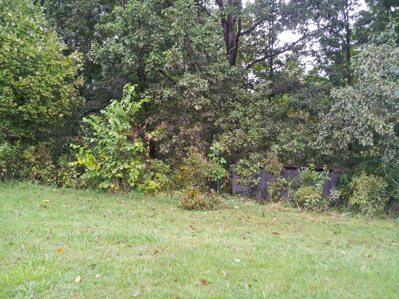 8923 Hillside Ave, Mascot, TN 37806