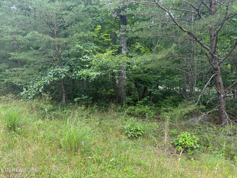 8941 Pima Dr, Crossville, TN 38572