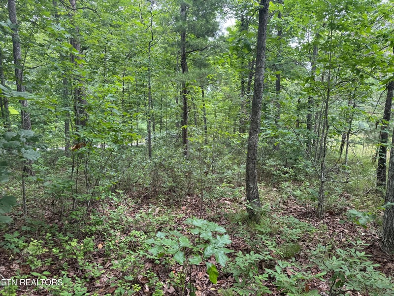 8941 Pima Dr, Crossville, TN 38572