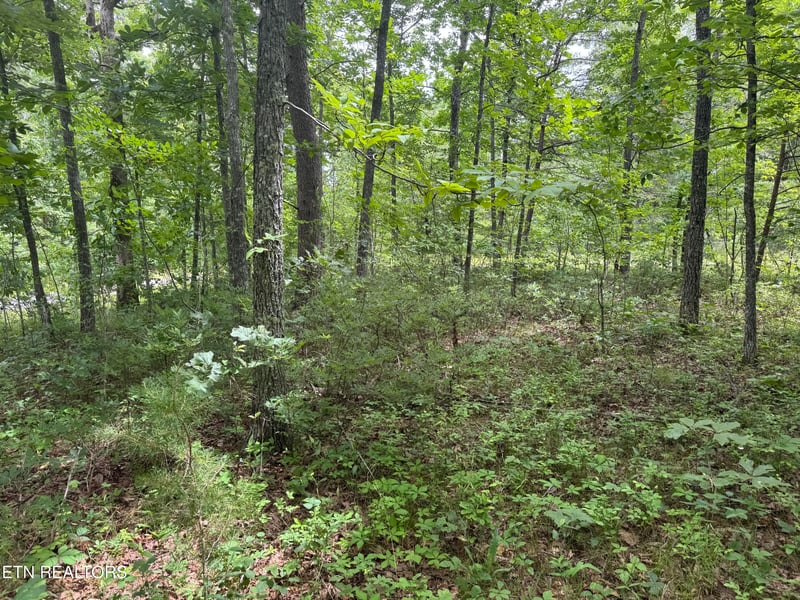 8941 Pima Dr, Crossville, TN 38572