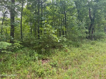 8941 Pima Dr, Crossville, TN 38572