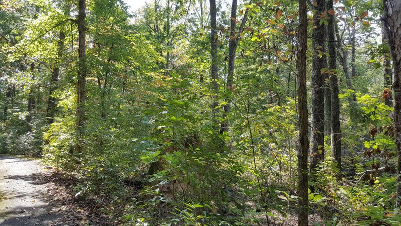 895 W Outer Dr, Oak Ridge, TN 37830