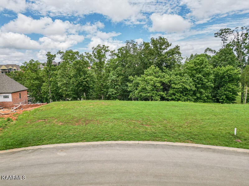 898 Bower Ct, Lenoir City, TN 37772