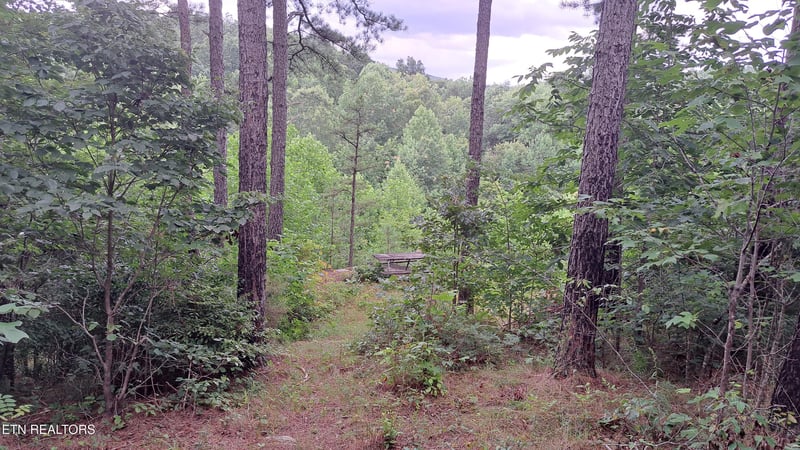 899 Flat Rock Rd, Crossville, TN 38572