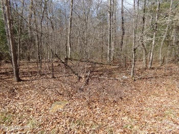 9 Broken Arrow Dr, Crossville, TN 38572