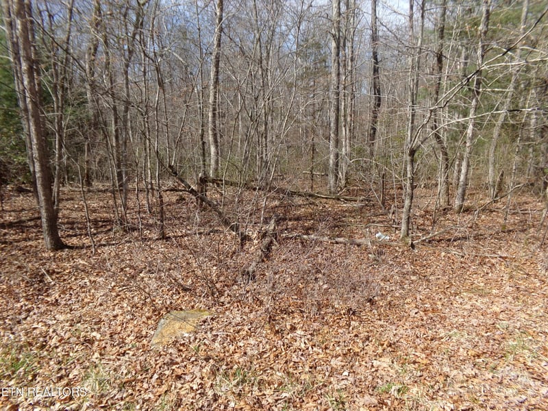 9 Broken Arrow Dr, Crossville, TN 38572