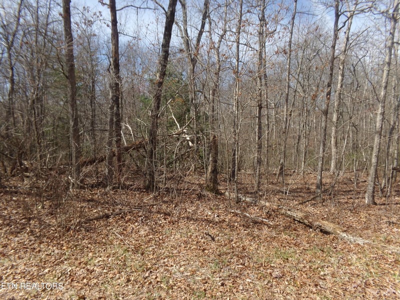 9 Broken Arrow Dr, Crossville, TN 38572