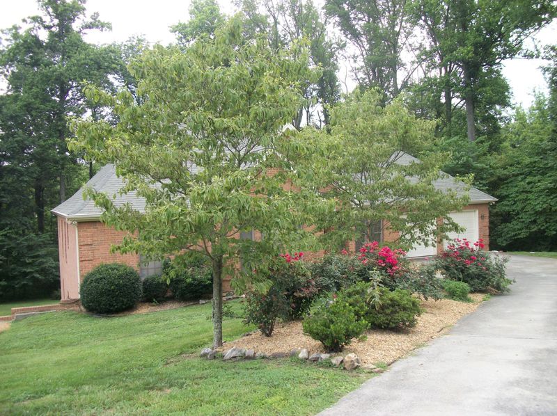 900 E Brentwood Dr, Morristown, TN 37814