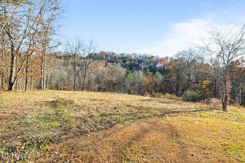 900 Powell Valley Shores Cir, Speedwell, TN 37870