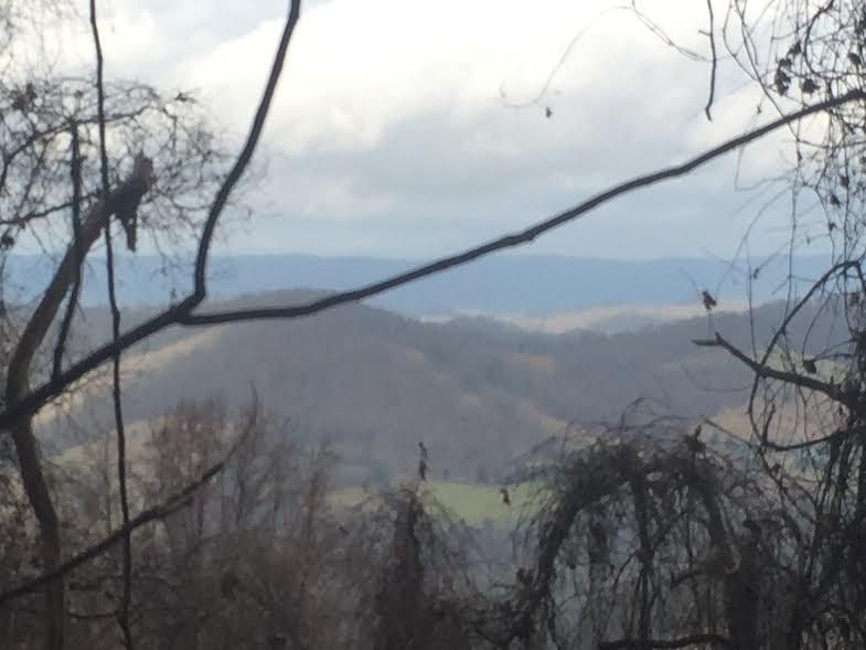 900 Scearce Loop Rd Off Rd, Thorn Hill, TN 37881