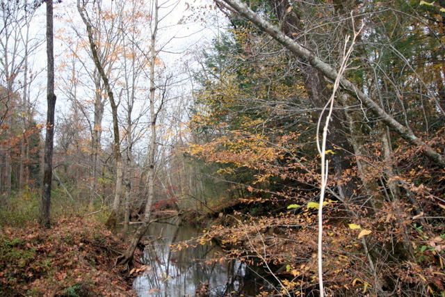 901 Cagle Rd, Tellico Plains, TN 37385