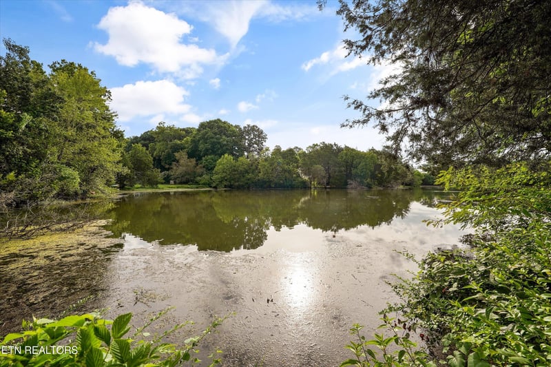 901 Harbour Shore Dr, Knoxville, TN 37934