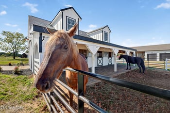 901 Lynnwood Dr, Greenback, TN 37742