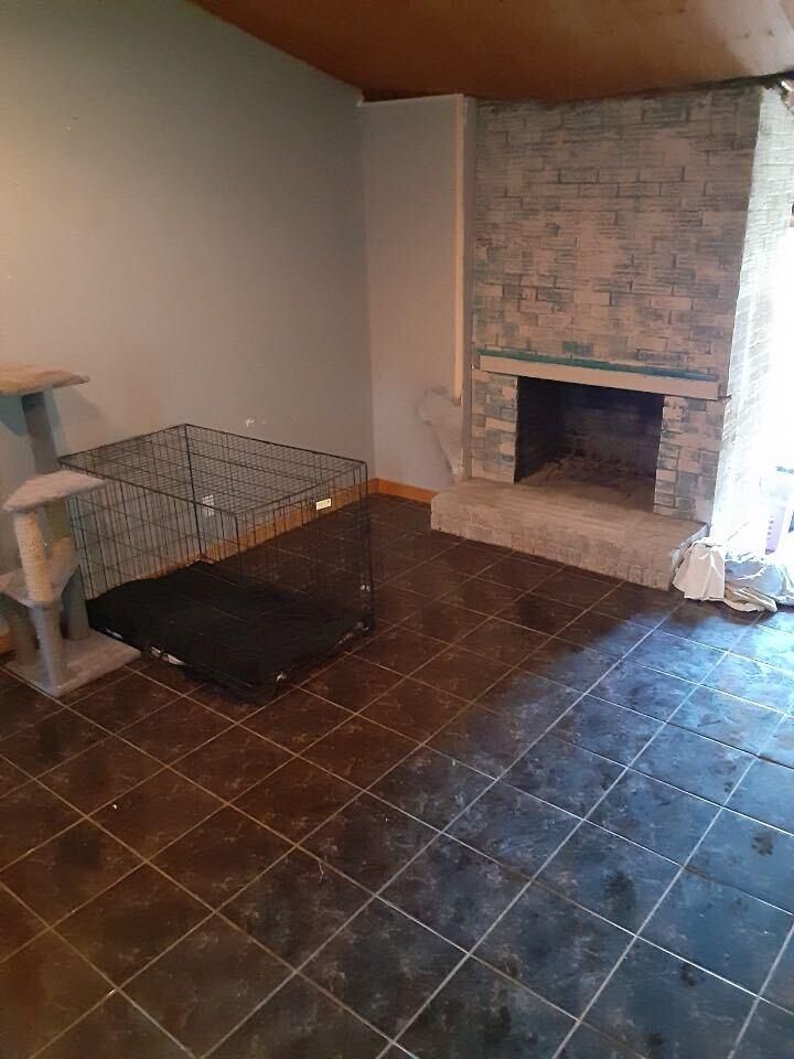 9010 Curtis Rd, Strawberry Plains, TN 37871