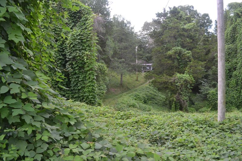 9015 Curtis Rd, Strawberry Plains, TN 37871
