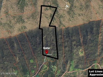 902 Charlie Dalton Ln, Thorn Hill, TN 37881