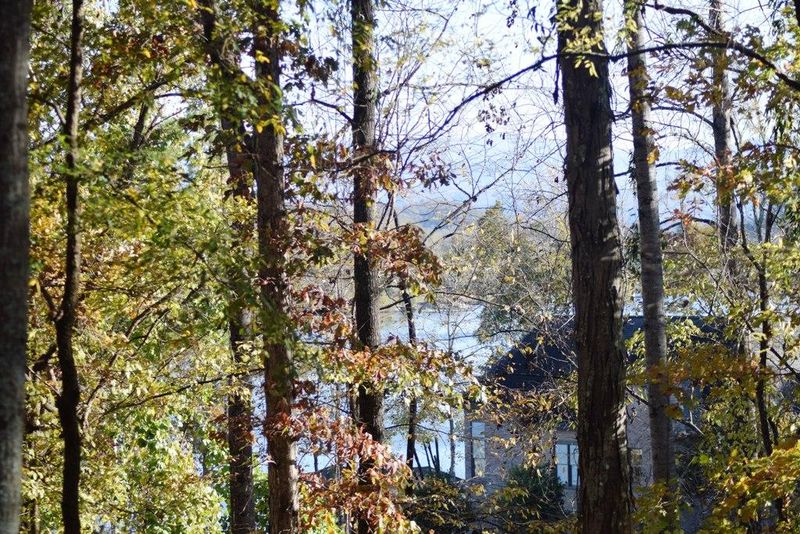 902 Kahite Tr, Vonore, TN 37885