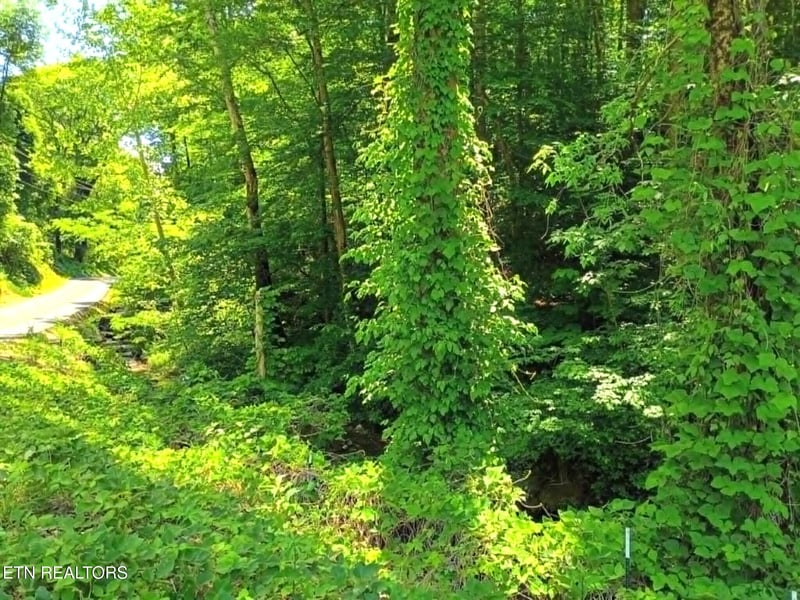9025 Conner Rd, Powell, TN 37849